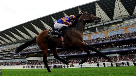 royal ascot reaults|Royal Ascot: Paddington gives Aidan O'Brien record, Hollie Doyle .
